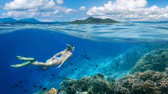 Woman swims around a coral reef surrounded by a multitude of fish on the background Islands.
North Sulawesi, Indonesia.